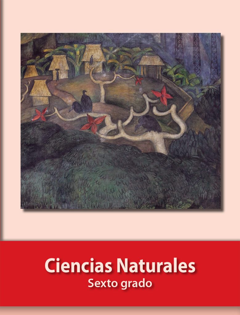 Ciencias naturales sexto grado